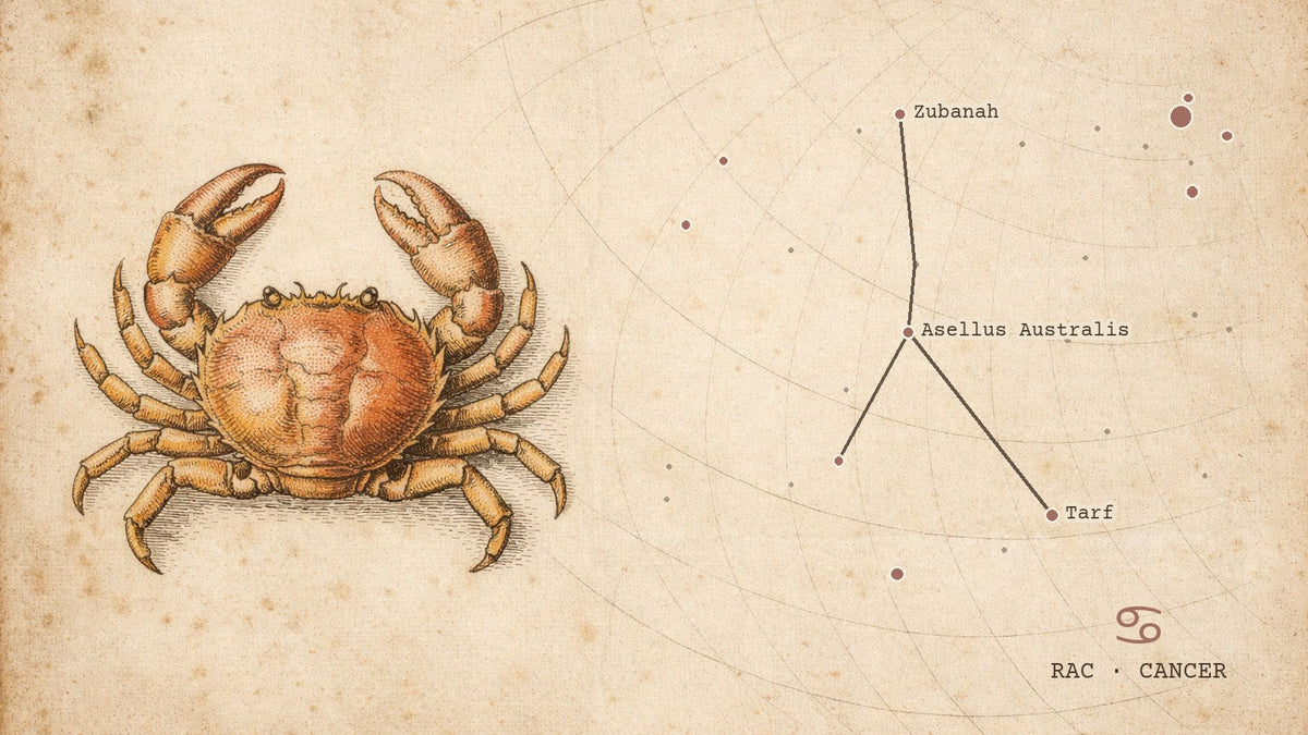 Gravură de atlas ceresc cu constelația Racului desenată după pozițiile reale ale stelelor, cu simbolul zodiei