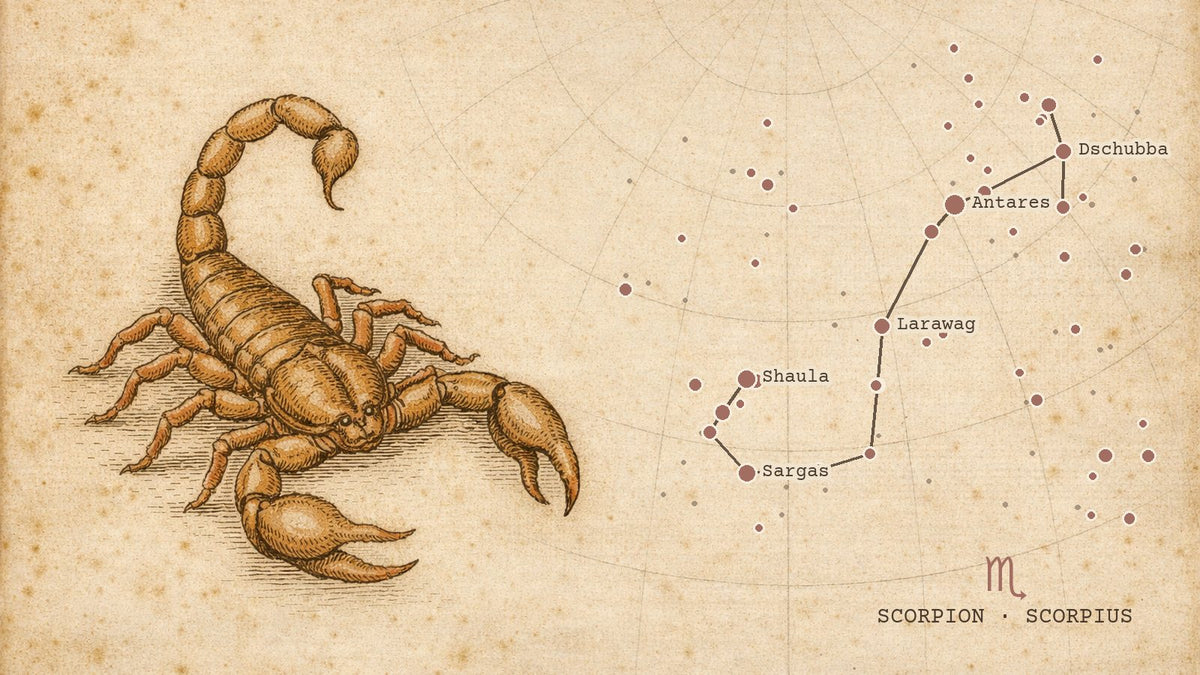 Gravură de atlas ceresc cu constelația Scorpionului desenată după pozițiile reale ale stelelor, cu simbolul zodiei