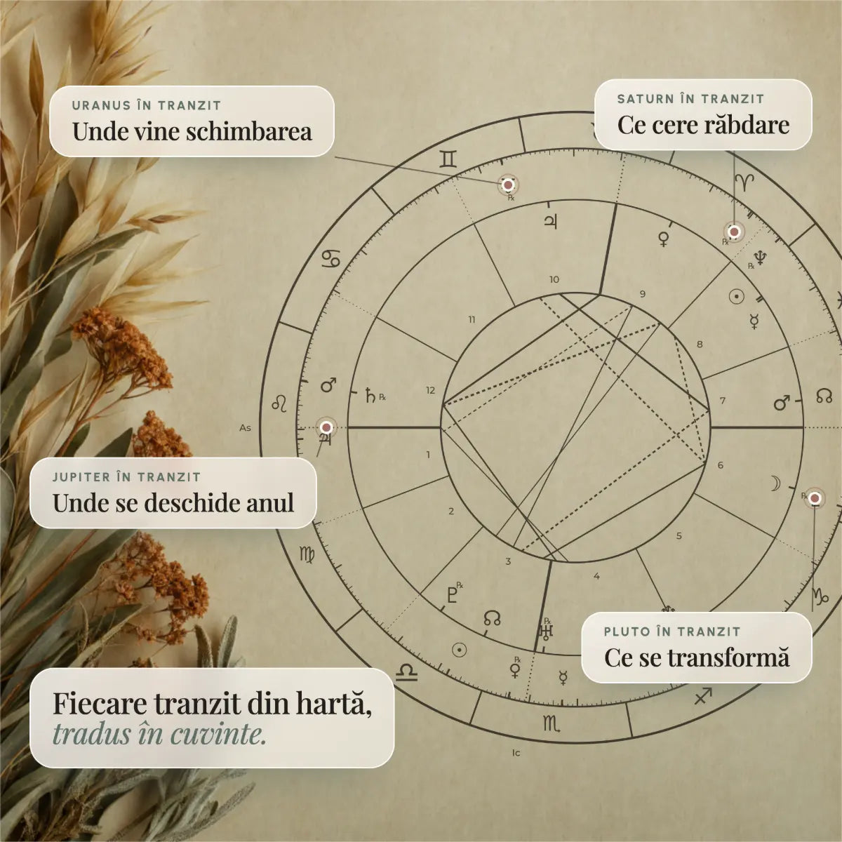 Harta tranzitelor adnotată: planetele anului care îți ating harta, fiecare traduse în cuvinte