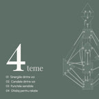 Cele patru teme ale interpretării: sinergiile dintre voi; canalele dintre voi; punctele sensibile; ghidaj pentru relație