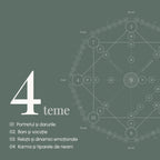 Cele patru teme ale interpretării: portretul și darurile; bani și vocație; relații și dinamici emoționale; karma și tiparele de neam