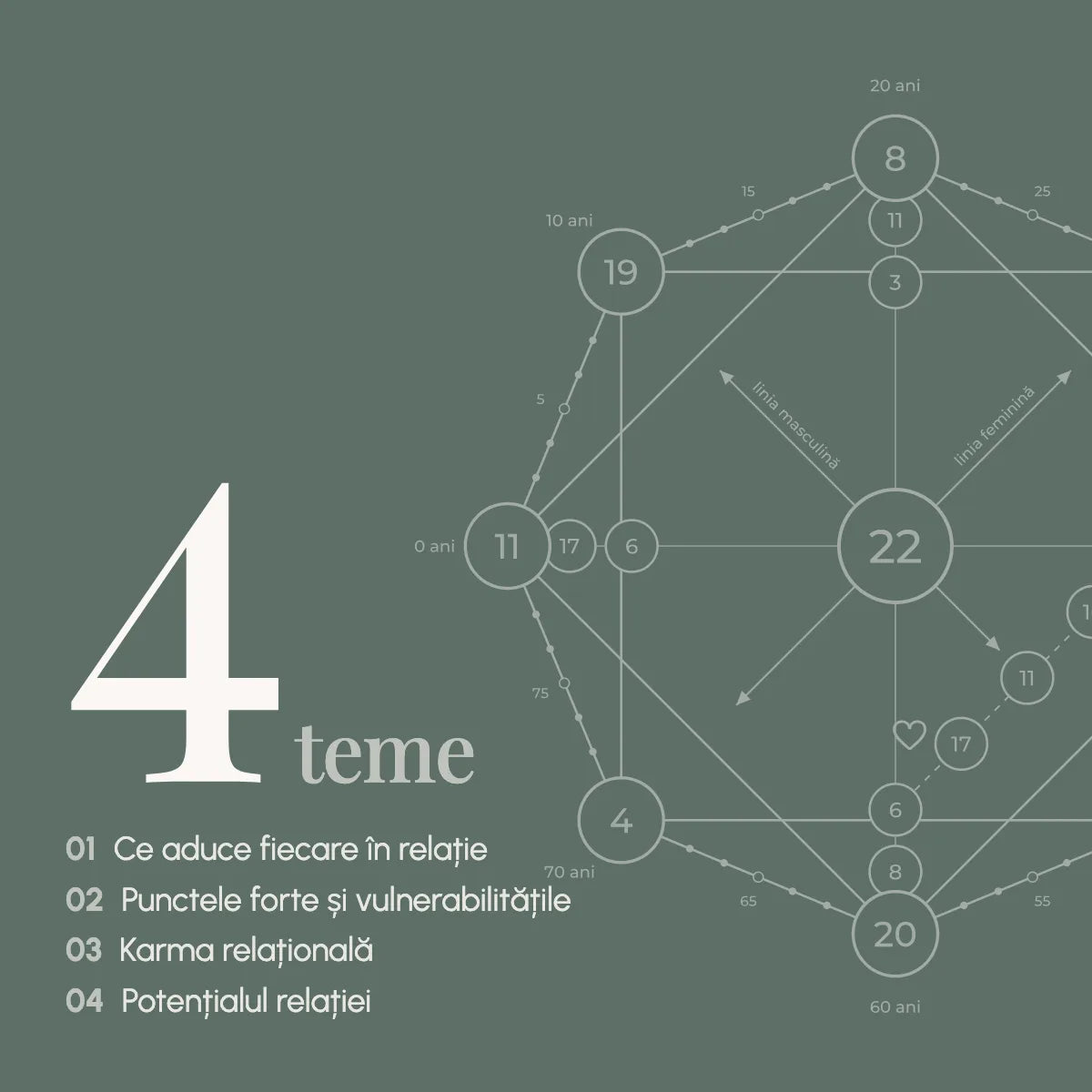 Cele patru teme ale interpretării: ce aduce fiecare în relație; punctele forte și vulnerabilitățile; karma relațională; potențialul relației
