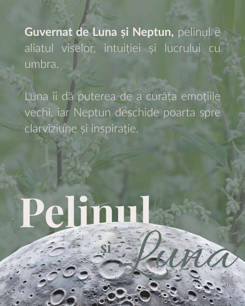 pelinul si luna