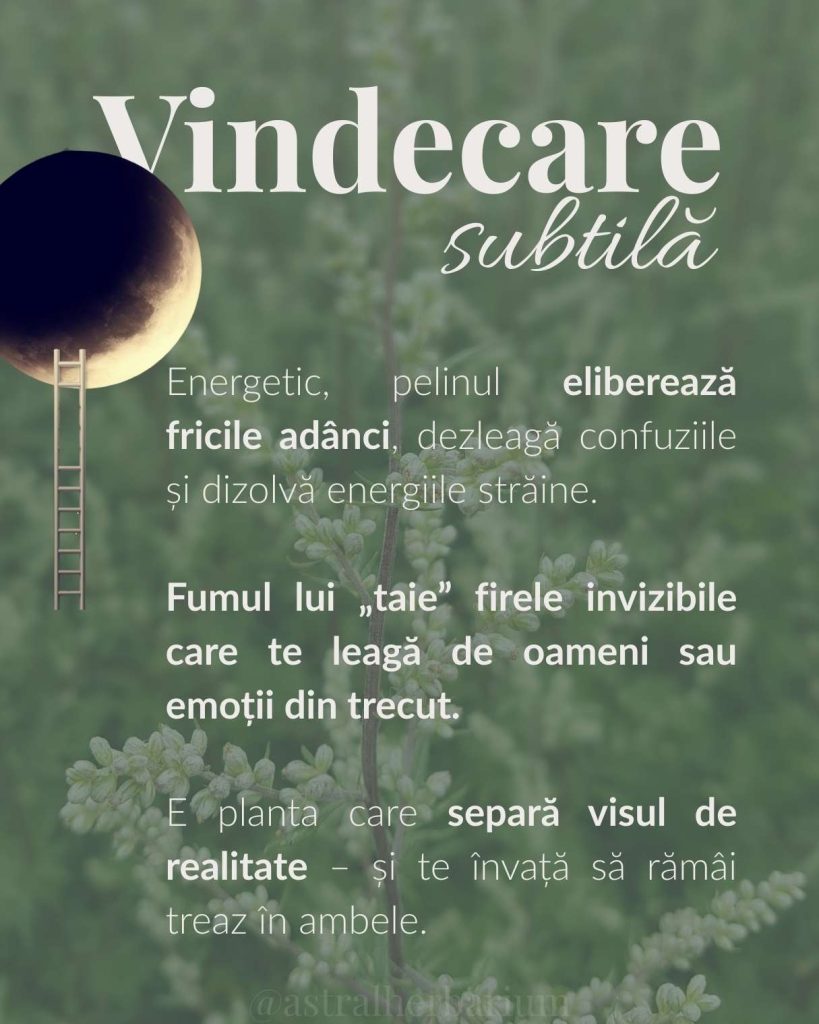 vindecare energetica pelin