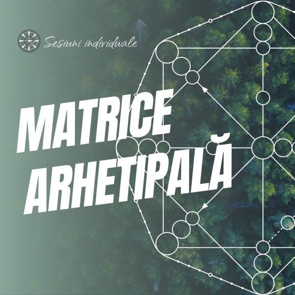 Consultații Matricea Destinului